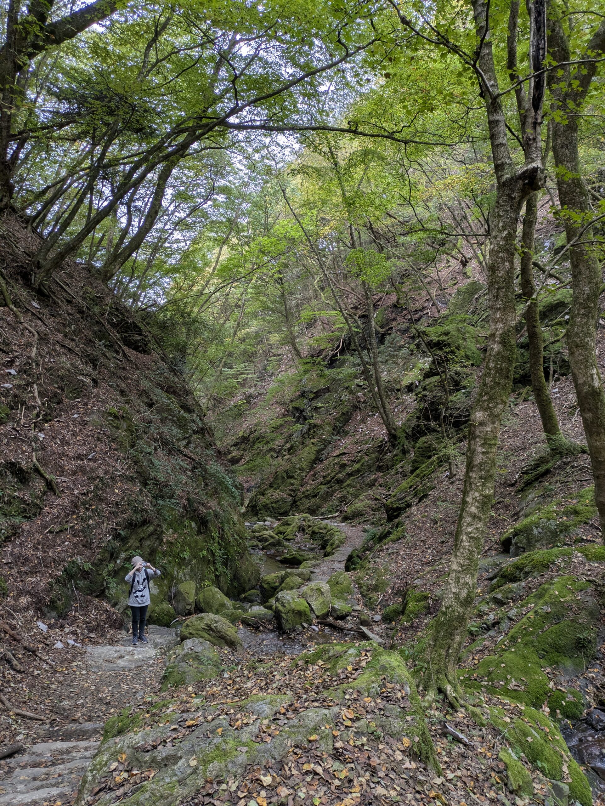 御岳山　登山　しました